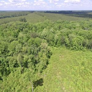 Photo #26 of SOLD property in New Grove Rd, Kenbridge, VA 56.0 acres