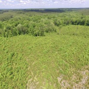Photo #28 of SOLD property in New Grove Rd, Kenbridge, VA 56.0 acres