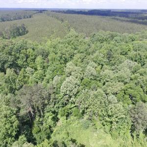 Photo #29 of SOLD property in New Grove Rd, Kenbridge, VA 56.0 acres