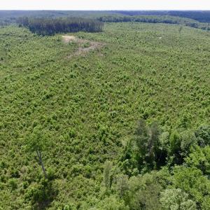 Photo #3 of SOLD property in New Grove Rd, Kenbridge, VA 56.0 acres