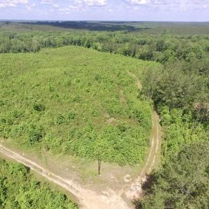 Photo #30 of SOLD property in New Grove Rd, Kenbridge, VA 56.0 acres