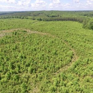 Photo #31 of SOLD property in New Grove Rd, Kenbridge, VA 56.0 acres