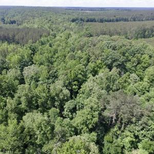 Photo #32 of SOLD property in New Grove Rd, Kenbridge, VA 56.0 acres