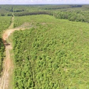 Photo #33 of SOLD property in New Grove Rd, Kenbridge, VA 56.0 acres