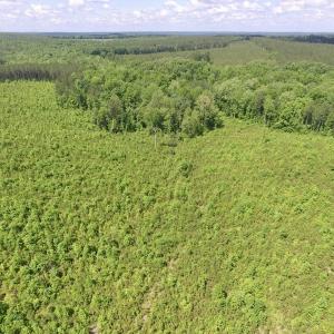 Photo #34 of SOLD property in New Grove Rd, Kenbridge, VA 56.0 acres