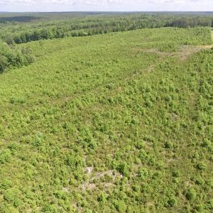 Photo #36 of SOLD property in New Grove Rd, Kenbridge, VA 56.0 acres