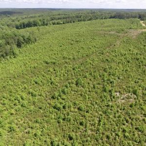 Photo #37 of SOLD property in New Grove Rd, Kenbridge, VA 56.0 acres