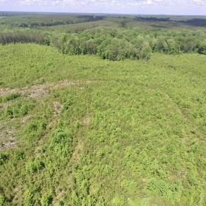 Photo #38 of SOLD property in New Grove Rd, Kenbridge, VA 56.0 acres