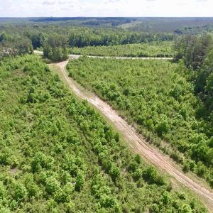 Photo #39 of SOLD property in New Grove Rd, Kenbridge, VA 56.0 acres