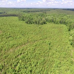 Photo #40 of SOLD property in New Grove Rd, Kenbridge, VA 56.0 acres