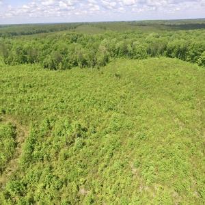 Photo #42 of SOLD property in New Grove Rd, Kenbridge, VA 56.0 acres
