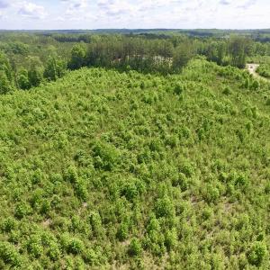 Photo #44 of SOLD property in New Grove Rd, Kenbridge, VA 56.0 acres
