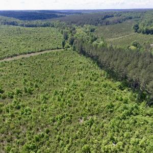 Photo #45 of SOLD property in New Grove Rd, Kenbridge, VA 56.0 acres