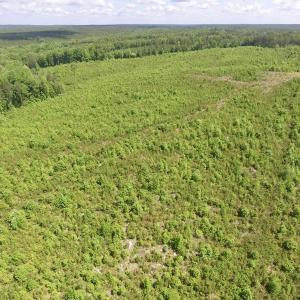 Photo #46 of SOLD property in New Grove Rd, Kenbridge, VA 56.0 acres