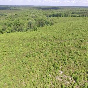 Photo #5 of SOLD property in New Grove Rd, Kenbridge, VA 56.0 acres