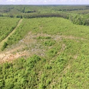 Photo #6 of SOLD property in New Grove Rd, Kenbridge, VA 56.0 acres