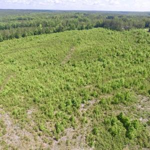 Photo #8 of SOLD property in New Grove Rd, Kenbridge, VA 56.0 acres
