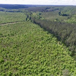 Photo #9 of SOLD property in New Grove Rd, Kenbridge, VA 56.0 acres