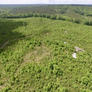 Photo #10 of SOLD property in New Grove Rd, Kenbridge, VA 58.0 acres