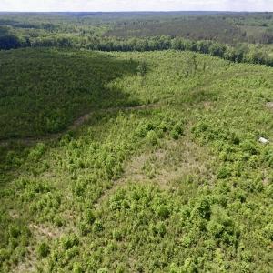 Photo #11 of SOLD property in New Grove Rd, Kenbridge, VA 58.0 acres