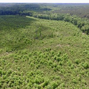 Photo #12 of SOLD property in New Grove Rd, Kenbridge, VA 58.0 acres