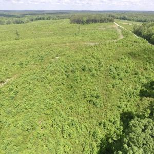Photo #13 of SOLD property in New Grove Rd, Kenbridge, VA 58.0 acres