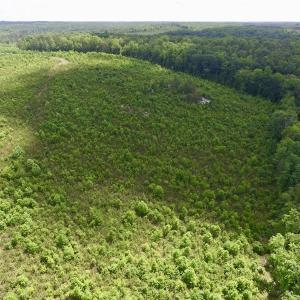 Photo #14 of SOLD property in New Grove Rd, Kenbridge, VA 58.0 acres