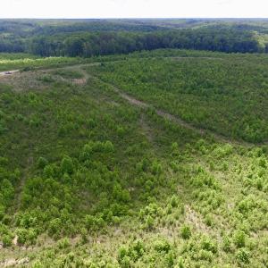 Photo #15 of SOLD property in New Grove Rd, Kenbridge, VA 58.0 acres