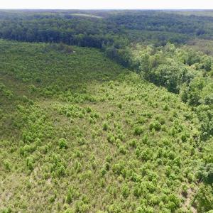 Photo #16 of SOLD property in New Grove Rd, Kenbridge, VA 58.0 acres