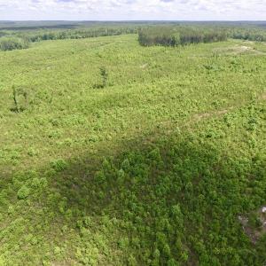Photo #18 of SOLD property in New Grove Rd, Kenbridge, VA 58.0 acres