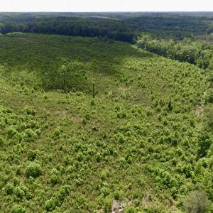 Photo #19 of SOLD property in New Grove Rd, Kenbridge, VA 58.0 acres
