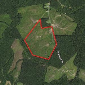 Photo #1 of SOLD property in New Grove Rd, Kenbridge, VA 58.0 acres