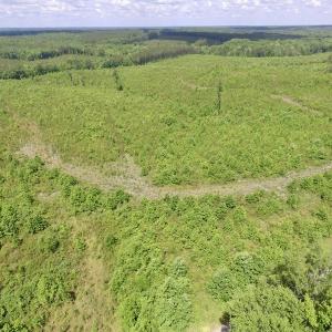 Photo #2 of SOLD property in New Grove Rd, Kenbridge, VA 58.0 acres