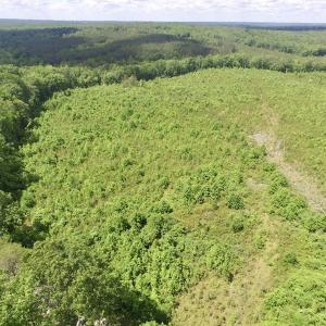 Photo #20 of SOLD property in New Grove Rd, Kenbridge, VA 58.0 acres