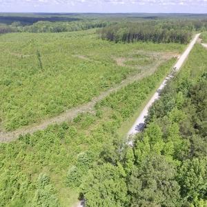 Photo #21 of SOLD property in New Grove Rd, Kenbridge, VA 58.0 acres