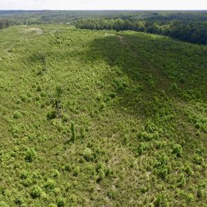 Photo #22 of SOLD property in New Grove Rd, Kenbridge, VA 58.0 acres