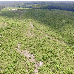 Photo #24 of SOLD property in New Grove Rd, Kenbridge, VA 58.0 acres