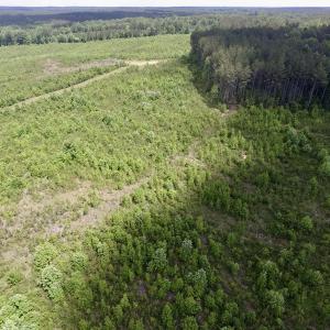 Photo #25 of SOLD property in New Grove Rd, Kenbridge, VA 58.0 acres