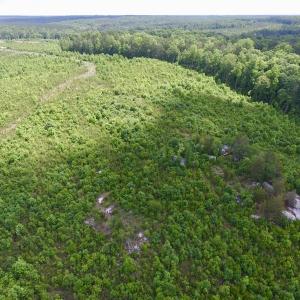 Photo #26 of SOLD property in New Grove Rd, Kenbridge, VA 58.0 acres