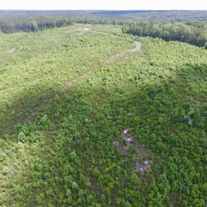 Photo #27 of SOLD property in New Grove Rd, Kenbridge, VA 58.0 acres