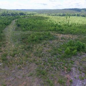 Photo #28 of SOLD property in New Grove Rd, Kenbridge, VA 58.0 acres