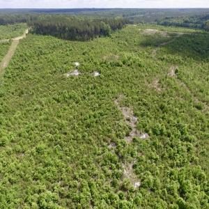 Photo #29 of SOLD property in New Grove Rd, Kenbridge, VA 58.0 acres