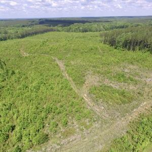 Photo #30 of SOLD property in New Grove Rd, Kenbridge, VA 58.0 acres