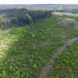 Photo #32 of SOLD property in New Grove Rd, Kenbridge, VA 58.0 acres