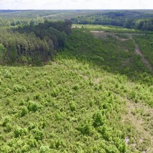 Photo #33 of SOLD property in New Grove Rd, Kenbridge, VA 58.0 acres