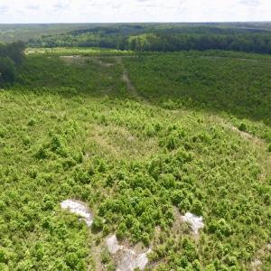 Photo #35 of SOLD property in New Grove Rd, Kenbridge, VA 58.0 acres