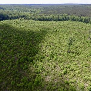 Photo #37 of SOLD property in New Grove Rd, Kenbridge, VA 58.0 acres