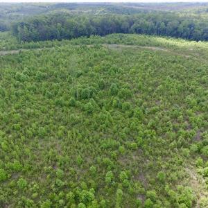Photo #38 of SOLD property in New Grove Rd, Kenbridge, VA 58.0 acres