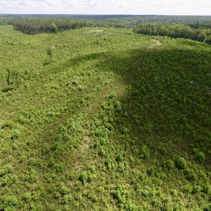 Photo #39 of SOLD property in New Grove Rd, Kenbridge, VA 58.0 acres