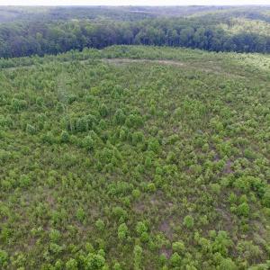 Photo #4 of SOLD property in New Grove Rd, Kenbridge, VA 58.0 acres